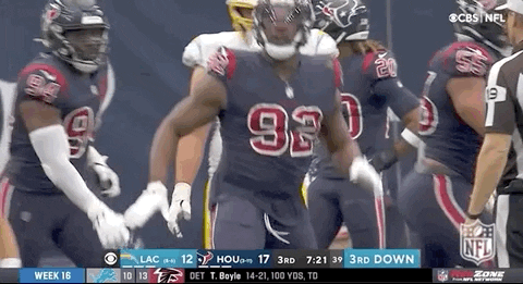 Houston Texans Football GIF by NFL
