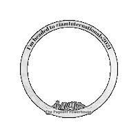 Queen Pageant Sticker by NationalAmericanMiss