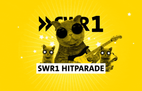 Baden-Württemberg Party GIF by SWR1