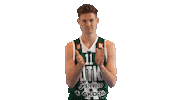 Basketball Hoops Sticker by Basket_fi