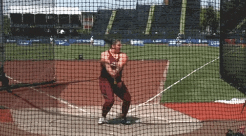 siu GIF by SIUSalukis