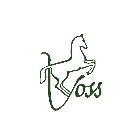 Happy Shopping Sticker by Reitsport Voss