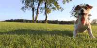 GIF by AT&T