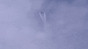 Aircraft Rafale GIF by Safran