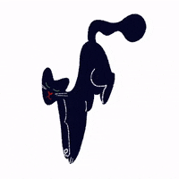 Sunlomee cat witch calm sunlomee GIF