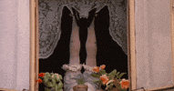 Film Legs GIF