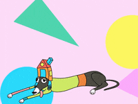 sofioes dog cartoon pink blue GIF