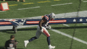 Football Nfl GIF by New England Patriots