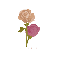 National Red Rose Day Sticker