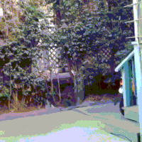 GIF by Giphy QA