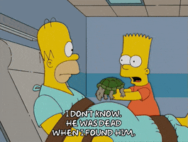 sad homer simpson GIF