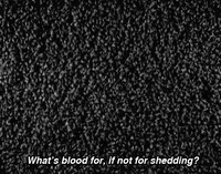 art film GIF by hoppip