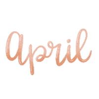 flower spring Sticker by Tania S.