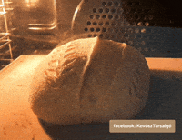 kovaszklub sourdough bread big bread kovászos kenyér kenyér a sütőben GIF