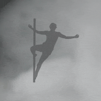 wilabfitness wilabfitness wilabfitnesspole wilabfitnesspoledancer GIF