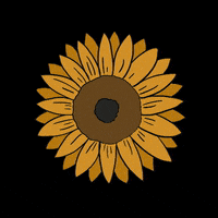 Summer Flower GIF