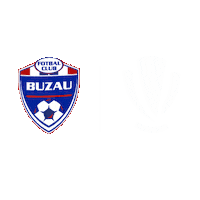 Liga 1 Football Sticker by Superliga Romania