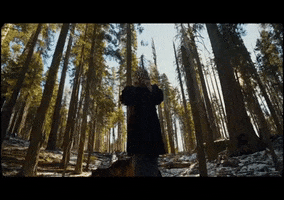 Ditto GIF by Aries