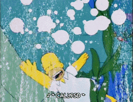 homer simpson GIF