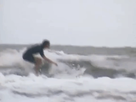 the mystery files of shelby woo nicksplat GIF