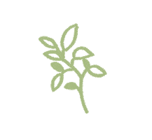 Green Leaf Plant Sticker