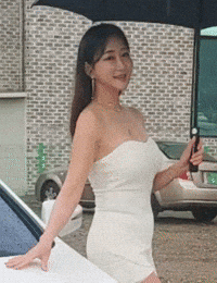 Model GIF