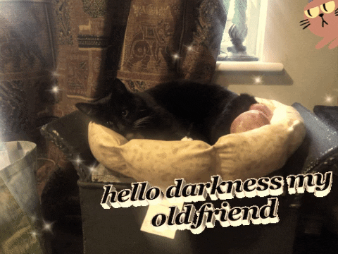 nny giphygifmaker giphyattribution cat sad cat GIF