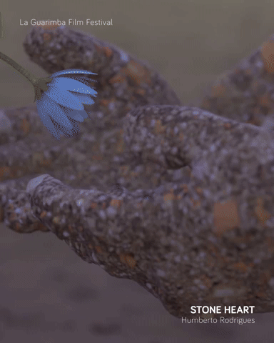 STONE HEART