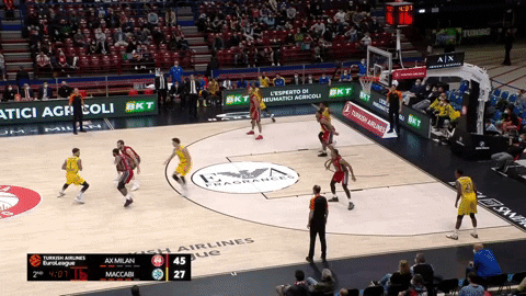 yishaigrof giphyupload GIF