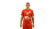 Cskahandball Sticker by CSKA men's handball club