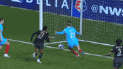Save Womens Soccer GIF by National Women's Soccer League