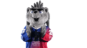 Sport Mascot Sticker by FinHockey