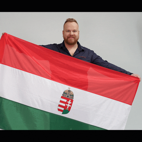 Erdei Sandor GIF by Jobbik Magyarországért Mozgalom