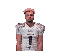 reutlingeneagles football ready dress helmet Sticker