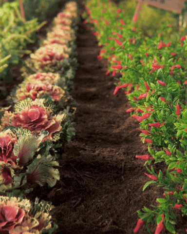 Garden Gnome GIF by PES