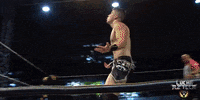 luchalibreaaa  GIF