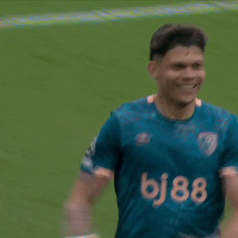 Happy Premier League GIF by AFC Bournemouth