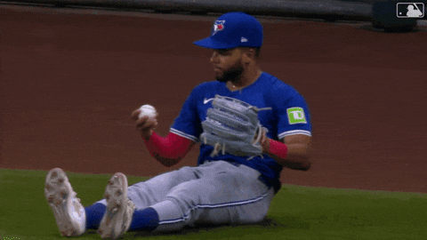 Lets Go Sport GIF by Toronto Blue Jays