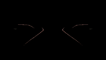 naruto shippuden GIF