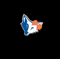 foresthillelementary fhes foresthillelementary GIF