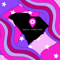 South Carolina GIF