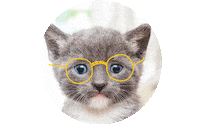 simonkids cat cute cats kitty Sticker