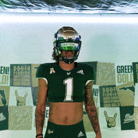 Ncaa Football GIF by USF Athletics