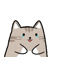 No Worries Lol Sticker by MESA My Emotional Support Animal