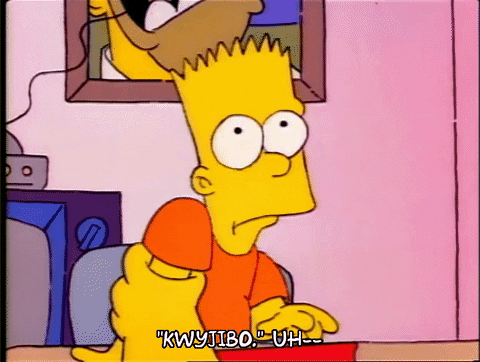 Season 1 GIF by The Simpsons