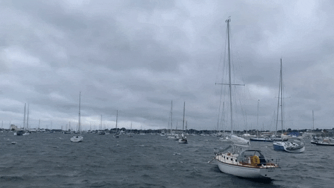 getdockwa boats dorian newport rhode island GIF