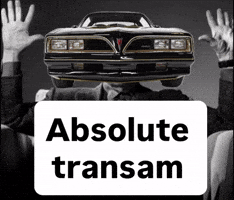 Trans Am Muscle Car GIF