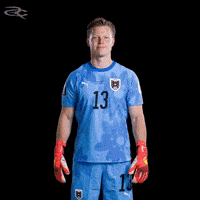 Fifa World Cup Austria GIF by Respective