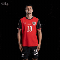 Fifa World Cup Austria GIF by Respective