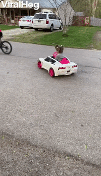 Love For Cars Passed Down From Dad To Daughter GIF by ViralHog